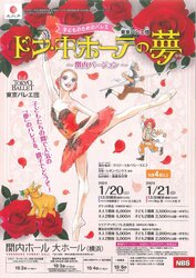 ドン・キホーテの夢 東京バレエ団 子どものためのバレエ～関内バージョン～の写真